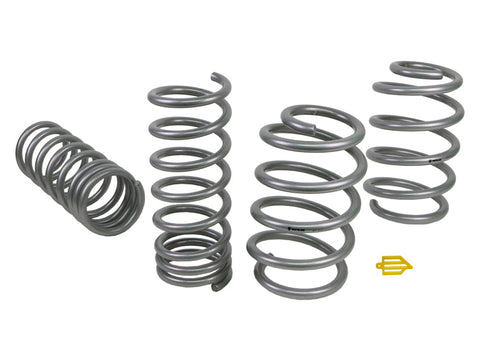 Lowering Spring Kit