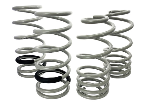 Lowered Spring Kit